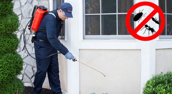 Doğankent Kemirgen İlaçlama böcek ilaçlama ve haşere kontrolü — ilaclama-tr.com